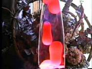 Picture of a Lava lamp